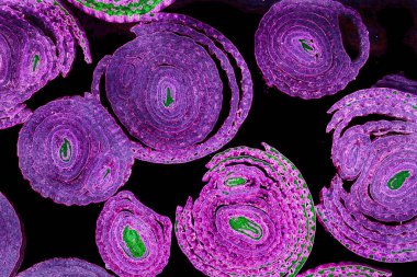 Renkli basit arka plan, dalgalı etkisi. Etkisi noktalarla. Ritmik ses parçacıklar. Tahıl doku. Renkli darbeleri ile duvar kağıdı. Duvar iç tasarım, lockscreen, paket için desen