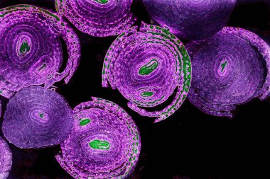 Renkli basit arka plan, dalgalı etkisi. Etkisi noktalarla. Ritmik ses parçacıklar. Tahıl doku. Renkli darbeleri ile duvar kağıdı. Duvar iç tasarım, lockscreen, paket için desen