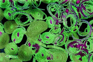 Renkli basit arka plan, dalgalı etkisi. Etkisi noktalarla. Ritmik ses parçacıklar. Tahıl doku. Renkli darbeleri ile duvar kağıdı. Duvar iç tasarım, lockscreen, paket için desen