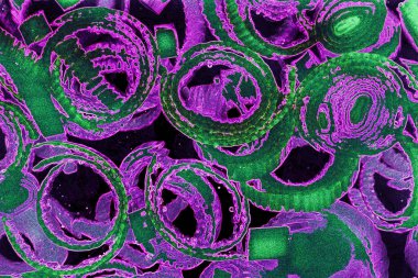 Renkli basit arka plan, dalgalı etkisi. Etkisi noktalarla. Ritmik ses parçacıklar. Tahıl doku. Renkli darbeleri ile duvar kağıdı. Duvar iç tasarım, lockscreen, paket için desen