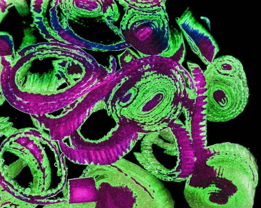 Renkli basit arka plan, dalgalı etkisi. Etkisi noktalarla. Ritmik ses parçacıklar. Tahıl doku. Renkli darbeleri ile duvar kağıdı. Duvar iç tasarım, lockscreen, paket için desen