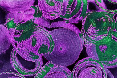 Renkli basit arka plan, dalgalı etkisi. Etkisi noktalarla. Ritmik ses parçacıklar. Tahıl doku. Renkli darbeleri ile duvar kağıdı. Duvar iç tasarım, lockscreen, paket için desen