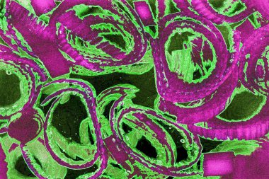 Renkli basit arka plan, dalgalı etkisi. Etkisi noktalarla. Ritmik ses parçacıklar. Tahıl doku. Renkli darbeleri ile duvar kağıdı. Duvar iç tasarım, lockscreen, paket için desen