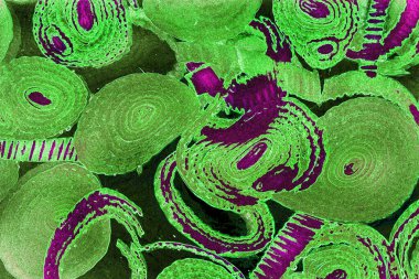 Renkli basit arka plan, dalgalı etkisi. Etkisi noktalarla. Ritmik ses parçacıklar. Tahıl doku. Renkli darbeleri ile duvar kağıdı. Duvar iç tasarım, lockscreen, paket için desen