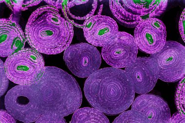 Renkli basit arka plan, dalgalı etkisi. Etkisi noktalarla. Ritmik ses parçacıklar. Tahıl doku. Renkli darbeleri ile duvar kağıdı. Duvar iç tasarım, lockscreen, paket için desen