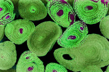 Renkli basit arka plan, dalgalı etkisi. Etkisi noktalarla. Ritmik ses parçacıklar. Tahıl doku. Renkli darbeleri ile duvar kağıdı. Duvar iç tasarım, lockscreen, paket için desen