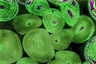 Renkli basit arka plan, dalgalı etkisi. Etkisi noktalarla. Ritmik ses parçacıklar. Tahıl doku. Renkli darbeleri ile duvar kağıdı. Duvar iç tasarım, lockscreen, paket için desen