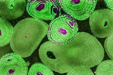 Renkli basit arka plan, dalgalı etkisi. Etkisi noktalarla. Ritmik ses parçacıklar. Tahıl doku. Renkli darbeleri ile duvar kağıdı. Duvar iç tasarım, lockscreen, paket için desen