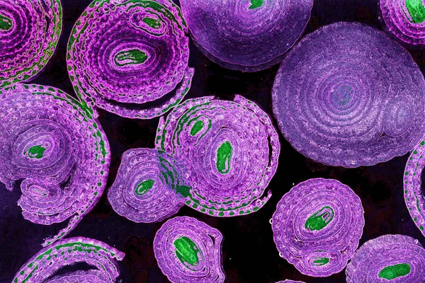 Renkli basit arka plan, dalgalı etkisi. Etkisi noktalarla. Ritmik ses parçacıklar. Tahıl doku. Renkli darbeleri ile duvar kağıdı. Duvar iç tasarım, lockscreen, paket için desen