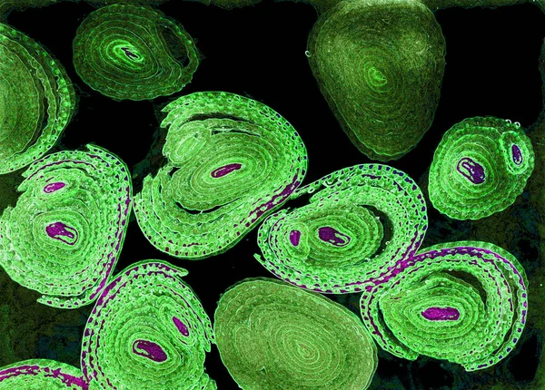 Renkli basit arka plan, dalgalı etkisi. Etkisi noktalarla. Ritmik ses parçacıklar. Tahıl doku. Renkli darbeleri ile duvar kağıdı. Duvar iç tasarım, lockscreen, paket için desen