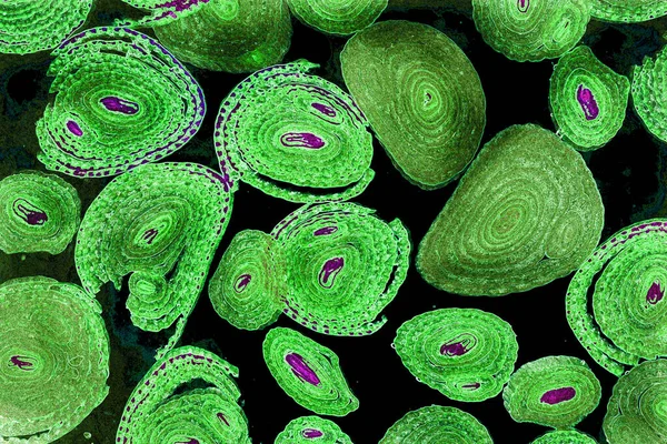 Renkli basit arka plan, dalgalı etkisi. Etkisi noktalarla. Ritmik ses parçacıklar. Tahıl doku. Renkli darbeleri ile duvar kağıdı. Duvar iç tasarım, lockscreen, paket için desen