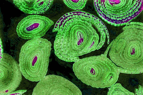 Renkli basit arka plan, dalgalı etkisi. Etkisi noktalarla. Ritmik ses parçacıklar. Tahıl doku. Renkli darbeleri ile duvar kağıdı. Duvar iç tasarım, lockscreen, paket için desen