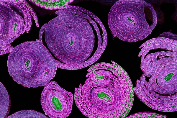 Renkli basit arka plan, dalgalı etkisi. Etkisi noktalarla. Ritmik ses parçacıklar. Tahıl doku. Renkli darbeleri ile duvar kağıdı. Duvar iç tasarım, lockscreen, paket için desen