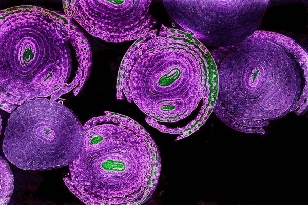 Renkli basit arka plan, dalgalı etkisi. Etkisi noktalarla. Ritmik ses parçacıklar. Tahıl doku. Renkli darbeleri ile duvar kağıdı. Duvar iç tasarım, lockscreen, paket için desen