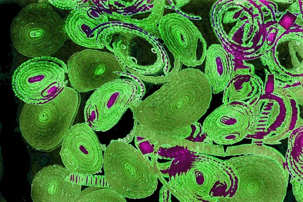 Renkli basit arka plan, dalgalı etkisi. Etkisi noktalarla. Ritmik ses parçacıklar. Tahıl doku. Renkli darbeleri ile duvar kağıdı. Duvar iç tasarım, lockscreen, paket için desen