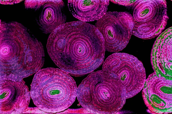 Renkli basit arka plan, dalgalı etkisi. Etkisi noktalarla. Ritmik ses parçacıklar. Tahıl doku. Renkli darbeleri ile duvar kağıdı. Duvar iç tasarım, lockscreen, paket için desen