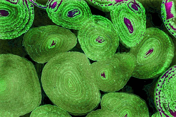 Renkli basit arka plan, dalgalı etkisi. Etkisi noktalarla. Ritmik ses parçacıklar. Tahıl doku. Renkli darbeleri ile duvar kağıdı. Duvar iç tasarım, lockscreen, paket için desen