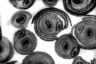 Mürekkep, soyut sanat, soyut çizgiler. Doku arka planı. düzensiz desen. Moda tasarımı. Ritmik gürültü parçacıkları. paketleme deseni