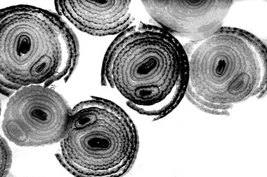 Mürekkep, soyut sanat, soyut çizgiler. Doku arka planı. düzensiz desen. Moda tasarımı. Ritmik gürültü parçacıkları. paketleme deseni