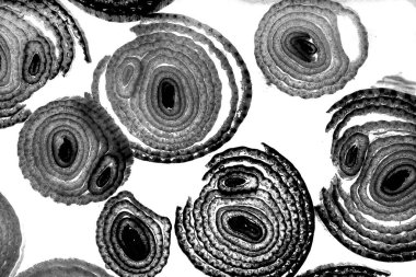 Mürekkep, soyut sanat, soyut çizgiler. Doku arka planı. düzensiz desen. Moda tasarımı. Ritmik gürültü parçacıkları. paketleme deseni