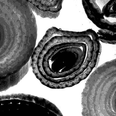 Mürekkep, soyut sanat, soyut çizgiler. Doku arka planı. düzensiz desen. Moda tasarımı. Ritmik gürültü parçacıkları. paketleme deseni