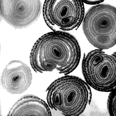 Mürekkep, soyut sanat, soyut çizgiler. Doku arka planı. düzensiz desen. Moda tasarımı. Ritmik gürültü parçacıkları. paketleme deseni