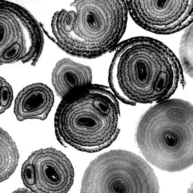 Mürekkep, soyut sanat, soyut çizgiler. Doku arka planı. düzensiz desen. Moda tasarımı. Ritmik gürültü parçacıkları. paketleme deseni