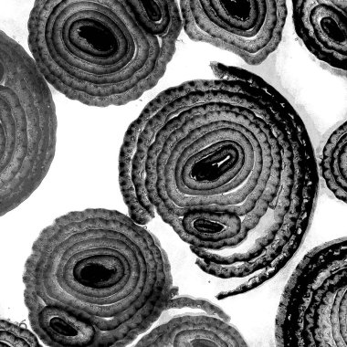 Mürekkep, soyut sanat, soyut çizgiler. Doku arka planı. düzensiz desen. Moda tasarımı. Ritmik gürültü parçacıkları. paketleme deseni