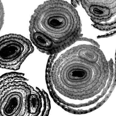 Mürekkep, soyut sanat, soyut çizgiler. Doku arka planı. düzensiz desen. Moda tasarımı. Ritmik gürültü parçacıkları. paketleme deseni