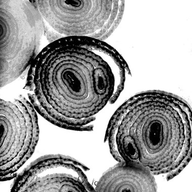 Mürekkep, soyut sanat, soyut çizgiler. Doku arka planı. düzensiz desen. Moda tasarımı. Ritmik gürültü parçacıkları. paketleme deseni