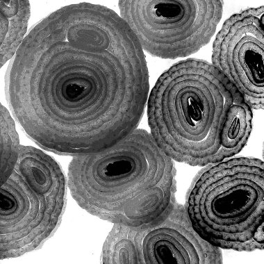 Mürekkep, soyut sanat, soyut çizgiler. Doku arka planı. düzensiz desen. Moda tasarımı. Ritmik gürültü parçacıkları. paketleme deseni