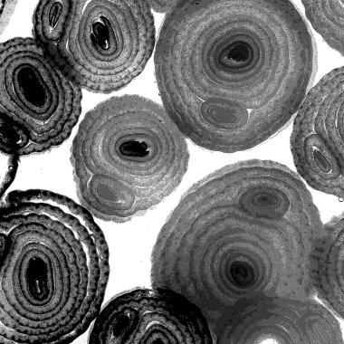 Mürekkep, soyut sanat, soyut çizgiler. Doku arka planı. düzensiz desen. Moda tasarımı. Ritmik gürültü parçacıkları. paketleme deseni