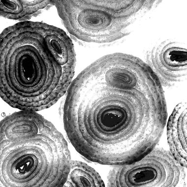 Mürekkep, soyut sanat, soyut çizgiler. Doku arka planı. düzensiz desen. Moda tasarımı. Ritmik gürültü parçacıkları. paketleme deseni