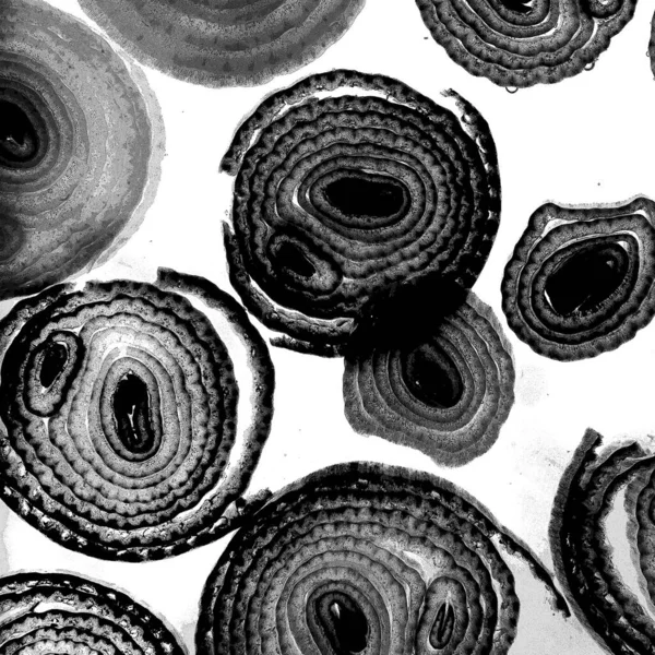 Mürekkep, soyut sanat, soyut çizgiler. Doku arka planı. düzensiz desen. Moda tasarımı. Ritmik gürültü parçacıkları. paketleme deseni