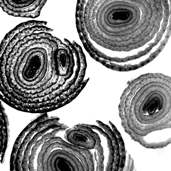 Mürekkep, soyut sanat, soyut çizgiler. Doku arka planı. düzensiz desen. Moda tasarımı. Ritmik gürültü parçacıkları. paketleme deseni