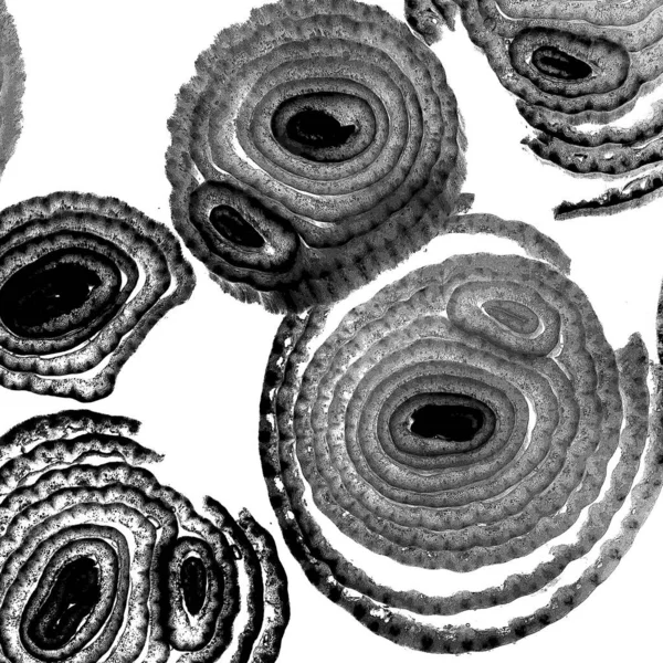 Mürekkep, soyut sanat, soyut çizgiler. Doku arka planı. düzensiz desen. Moda tasarımı. Ritmik gürültü parçacıkları. paketleme deseni