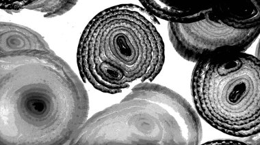 Mürekkep, soyut sanat, soyut çizgiler. Doku arka planı. düzensiz desen. Moda tasarımı. Ritmik gürültü parçacıkları. paketleme deseni