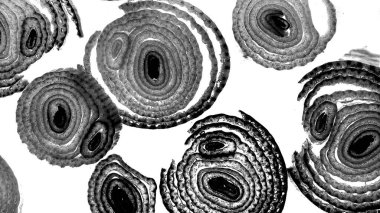 Mürekkep, soyut sanat, soyut çizgiler. Doku arka planı. düzensiz desen. Moda tasarımı. Ritmik gürültü parçacıkları. paketleme deseni