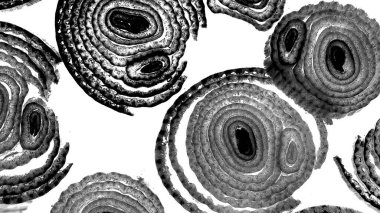 Mürekkep, soyut sanat, soyut çizgiler. Doku arka planı. düzensiz desen. Moda tasarımı. Ritmik gürültü parçacıkları. paketleme deseni