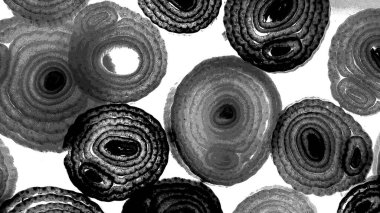 Mürekkep, soyut sanat, soyut çizgiler. Doku arka planı. düzensiz desen. Moda tasarımı. Ritmik gürültü parçacıkları. paketleme deseni