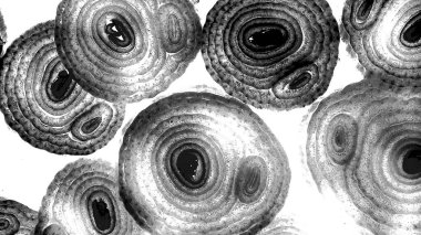 Mürekkep, soyut sanat, soyut çizgiler. Doku arka planı. düzensiz desen. Moda tasarımı. Ritmik gürültü parçacıkları. paketleme deseni