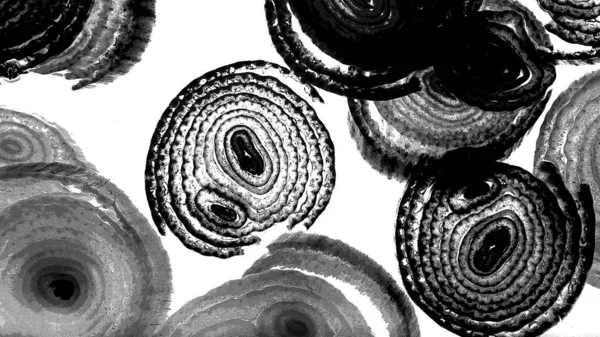 抽象艺术 抽象线条 纹理背景 不规则图案 时尚的设计 节奏噪音粒子 包装样式 — 图库照片