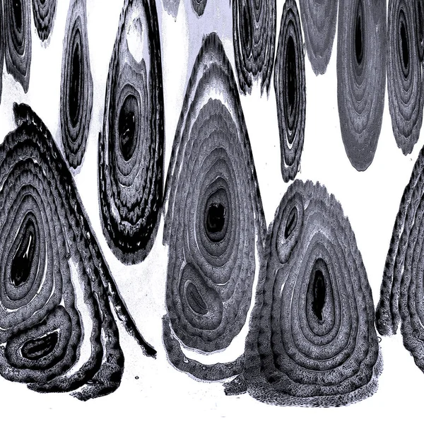 Mürekkep, soyut sanat, soyut çizgiler. Doku arka planı. düzensiz desen. Moda tasarımı. Ritmik gürültü parçacıkları. paketleme deseni