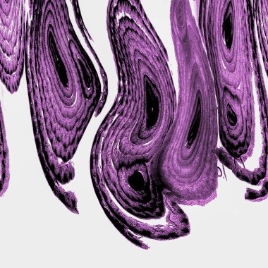 Mürekkep, soyut sanat, soyut çizgiler. Doku arka planı. düzensiz desen. Moda tasarımı. Ritmik gürültü parçacıkları. paketleme deseni