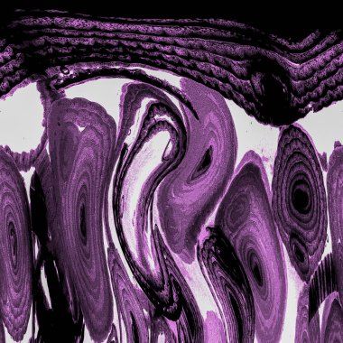 Mürekkep, soyut sanat, soyut çizgiler. Doku arka planı. düzensiz desen. Moda tasarımı. Ritmik gürültü parçacıkları. paketleme deseni