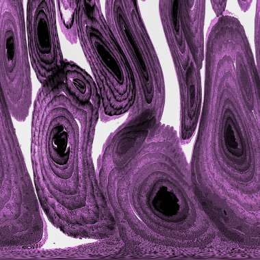 Mürekkep, soyut sanat, soyut çizgiler. Doku arka planı. düzensiz desen. Moda tasarımı. Ritmik gürültü parçacıkları. paketleme deseni