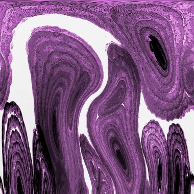 Mürekkep, soyut sanat, soyut çizgiler. Doku arka planı. düzensiz desen. Moda tasarımı. Ritmik gürültü parçacıkları. paketleme deseni