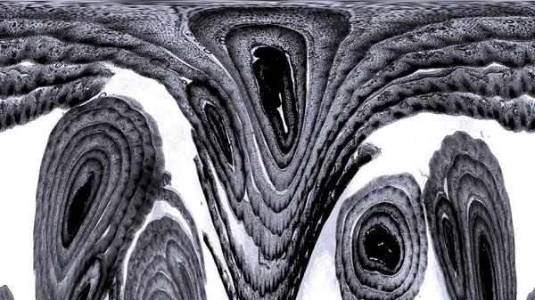 Mürekkep, soyut sanat, soyut çizgiler. Doku arka planı. düzensiz desen. Moda tasarımı. Ritmik gürültü parçacıkları. paketleme deseni