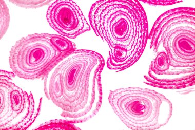 Renkli basit arka plan, dalgalı etkisi. Etkisi noktalarla. Ritmik ses parçacıklar. Tahıl doku. Renkli darbeleri ile duvar kağıdı. Duvar iç tasarım, lockscreen, paket için desen