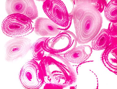 Renkli basit arka plan, dalgalı etkisi. Etkisi noktalarla. Ritmik ses parçacıklar. Tahıl doku. Renkli darbeleri ile duvar kağıdı. Duvar iç tasarım, lockscreen, paket için desen